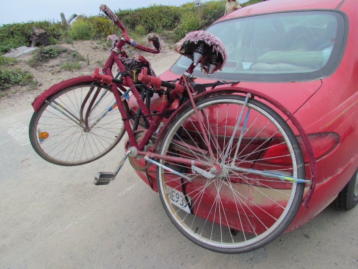 Suede Bicycle